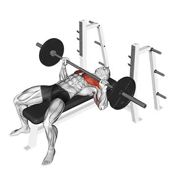Barbell Incline Bench Press - How To, Muscles Worked, Form Cues ...