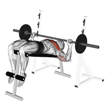 Barbell Incline Bench Press - How To, Muscles Worked, Form Cues ...