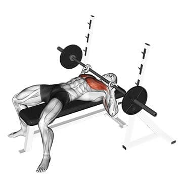 Barbell Incline Bench Press - How To, Muscles Worked, Form Cues ...