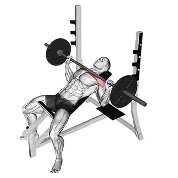 Smith Machine Incline Bench Press - How To, Muscles Worked, Form Cues ...