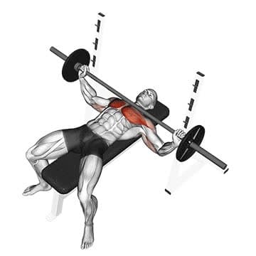 Barbell Incline Bench Press - How To, Muscles Worked, Form Cues ...