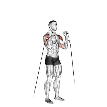 Cable Front Raise - How To, Muscles Worked, Form Cues, Variations | Pumpd