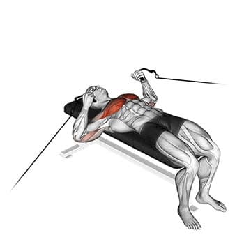 Smith Machine Incline Bench Press - How To, Muscles Worked, Form Cues ...