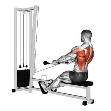 Cable Seated Row - How To, Muscles Worked, Form Cues, Variations | Pumpd