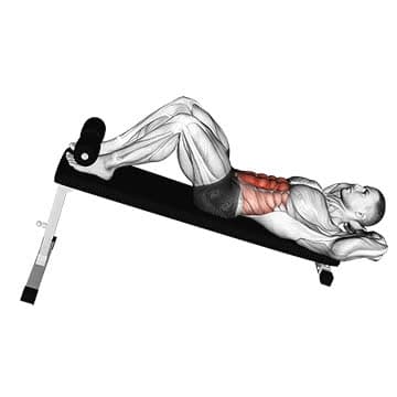 Seated Leg Raise - How To, Muscles Worked, Form Cues, Variations | Pumpd