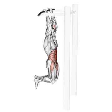 Seated Leg Raise - How To, Muscles Worked, Form Cues, Variations | Pumpd