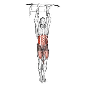 Russian Twist - How To, Muscles Worked, Form Cues, Variations | Pumpd