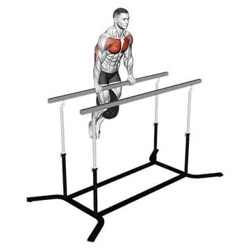 Barbell Incline Bench Press - How To, Muscles Worked, Form Cues ...