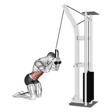 Cable Crunch Example Cable Standing Crunch - How To, Muscles Worked, Form Cues, Variations ...